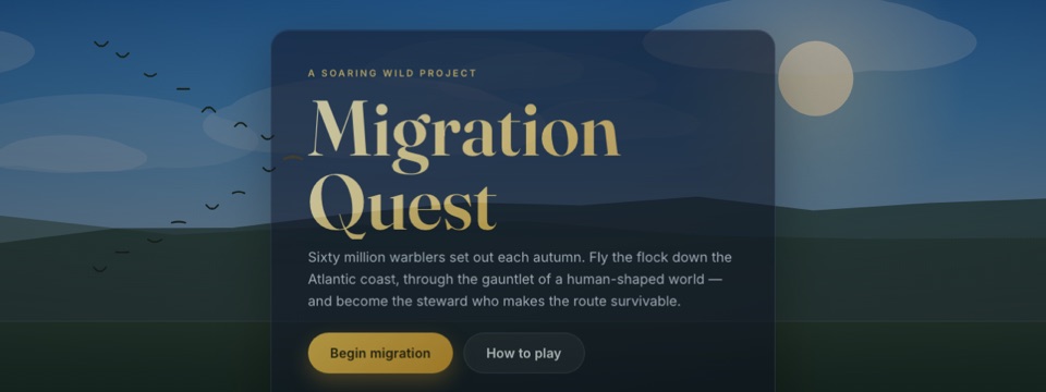 Migration Quest